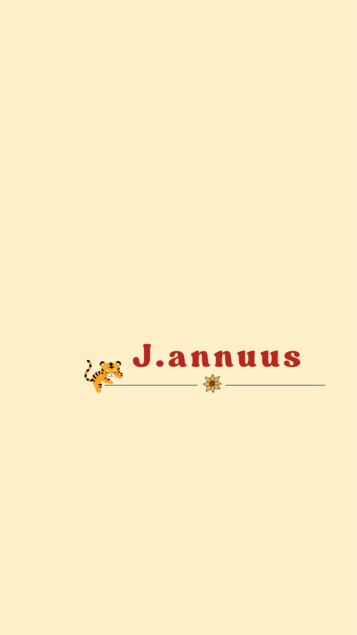 𝐉.𝐚𝐧𝐧𝐮𝐮𝐬 周邊·小物代購⋆ * ₊ ⋆