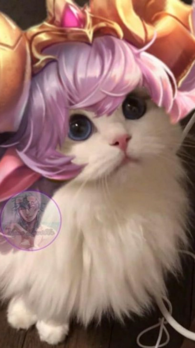 傳說上分組隊🫵