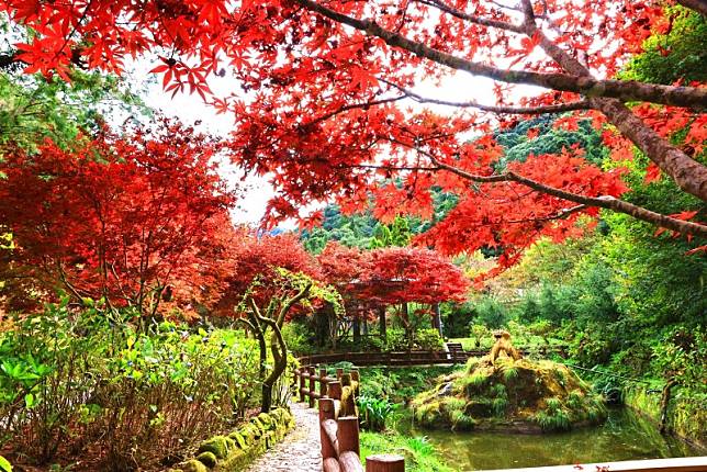 ▲圖片來源：愛上杉林溪fb