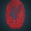 Liverpool thailand