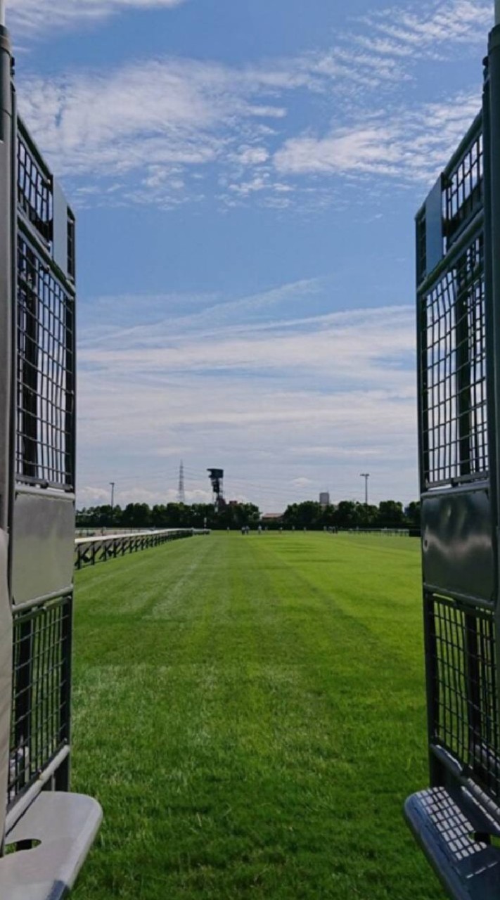 【競馬サロン🏇やぴ1月度】