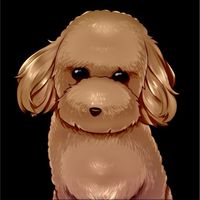 プードルの広場【自動売買FX】