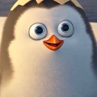 @เพนกวินแอร์ไลน์