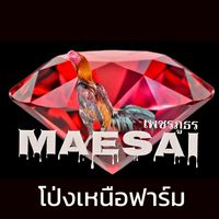 โป่งเหนือฟาร์ม
