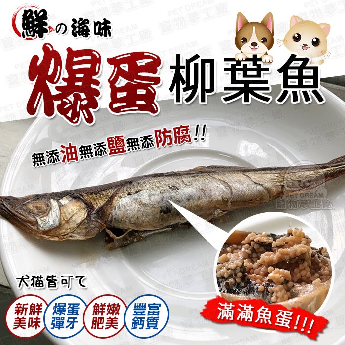 蒸鮮嫩雞腿 整支可食 雞里肌 柳葉魚 台灣製造 骰子牛肉 雞腳凍 雞肉丸子 牛肉丸子 香腸 鯊魚軟骨 雞胗 火雞筋 寵物雞腿 酥骨雞腿 寵物零食 寵物獎勵 獎勵零食 嫩雞腿 雞腿 樂天雙12