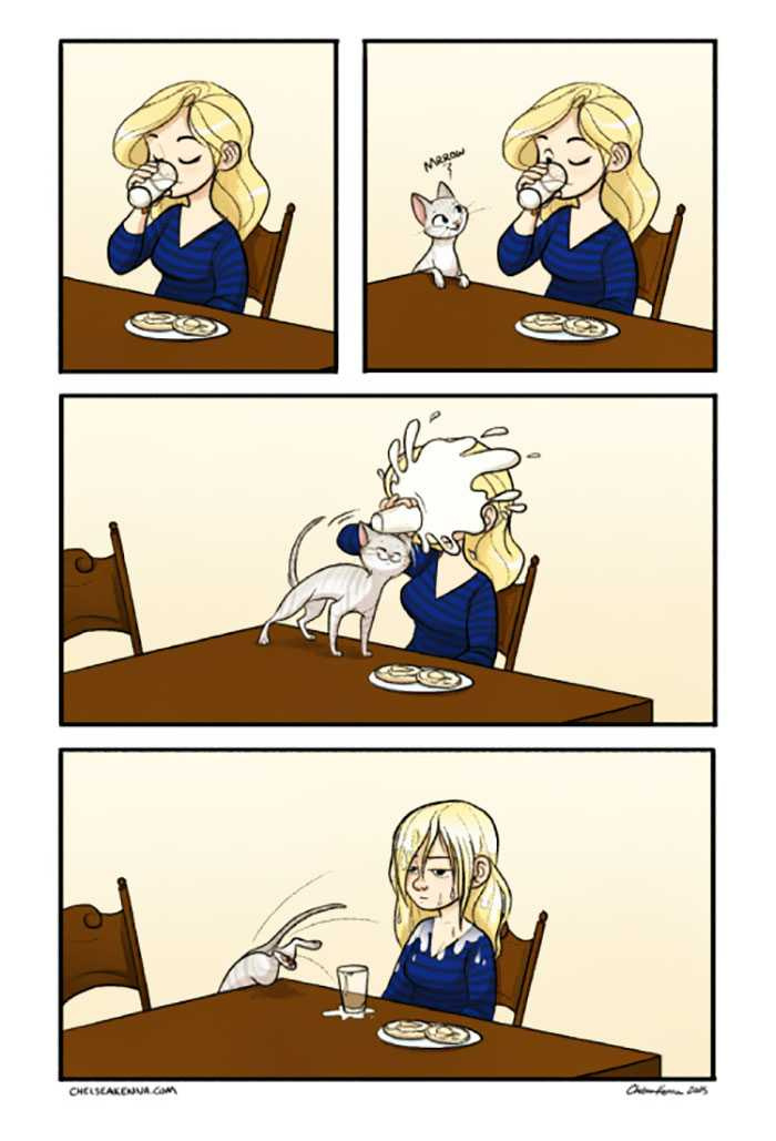 貓奴們必懂！20張與貓生活日常漫畫：半夜不睡覺，早上吃罐罐！