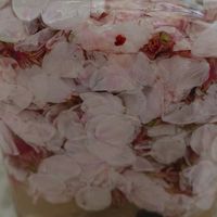天然酵母でパン作り♪
