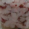 天然酵母でパン作り♪