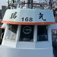 瑞光168