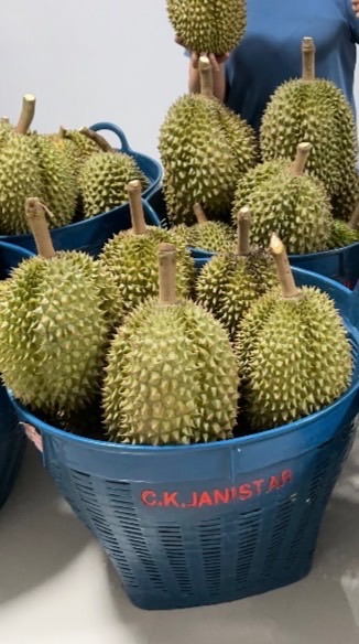 ทุเรียนเจ๊เดม