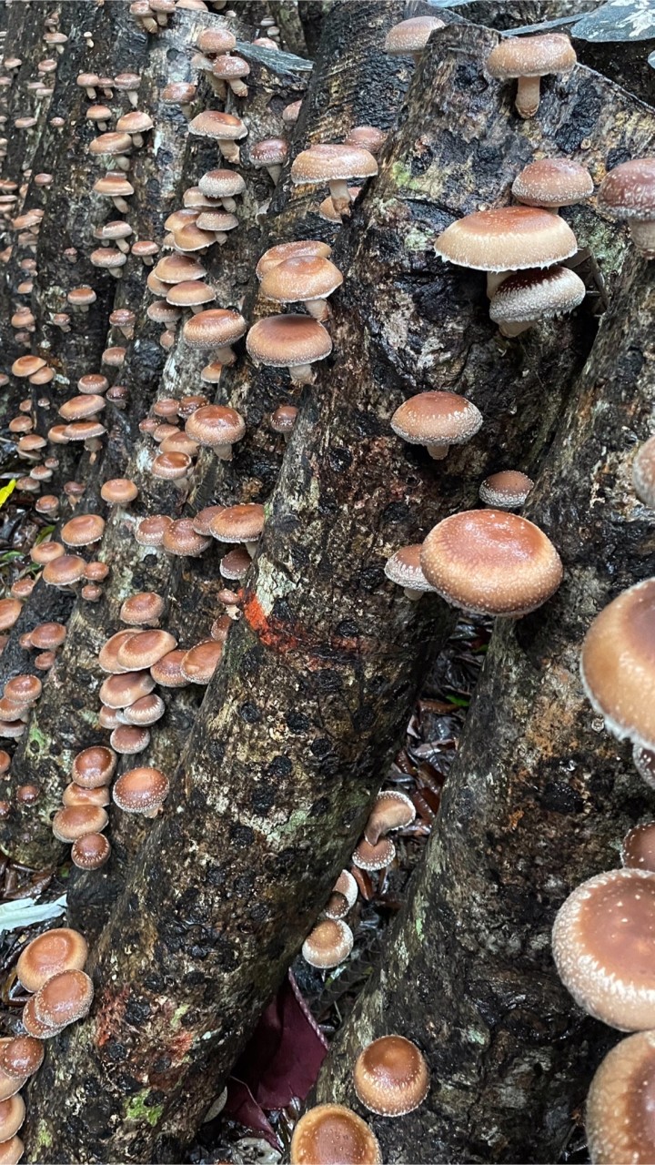 釉愷生物科技有限公司