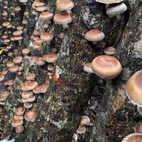 釉愷生物科技有限公司