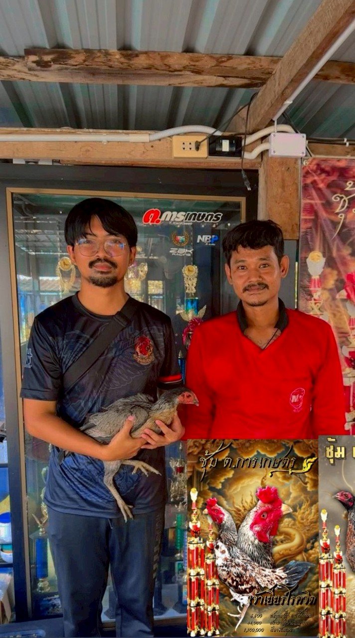 บ่อสี่เหลี่ยม สรรคบุรีฟาร์ม