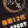 專屬GR Sport  Altis