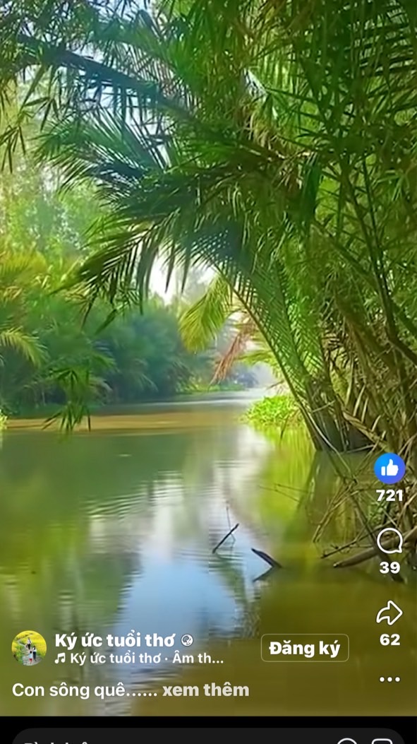 水蓮花