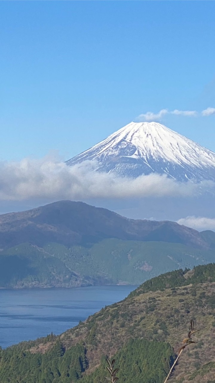 競艇穴舟券宗教本山　ちょろたん教 OpenChat