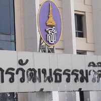 Asset Culture (ส่วนกลาง)