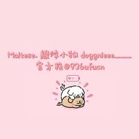 Maltese.線條小狗doggnieee___