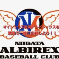 オイシックス新潟アルビレックスを一緒に現地応援しよう