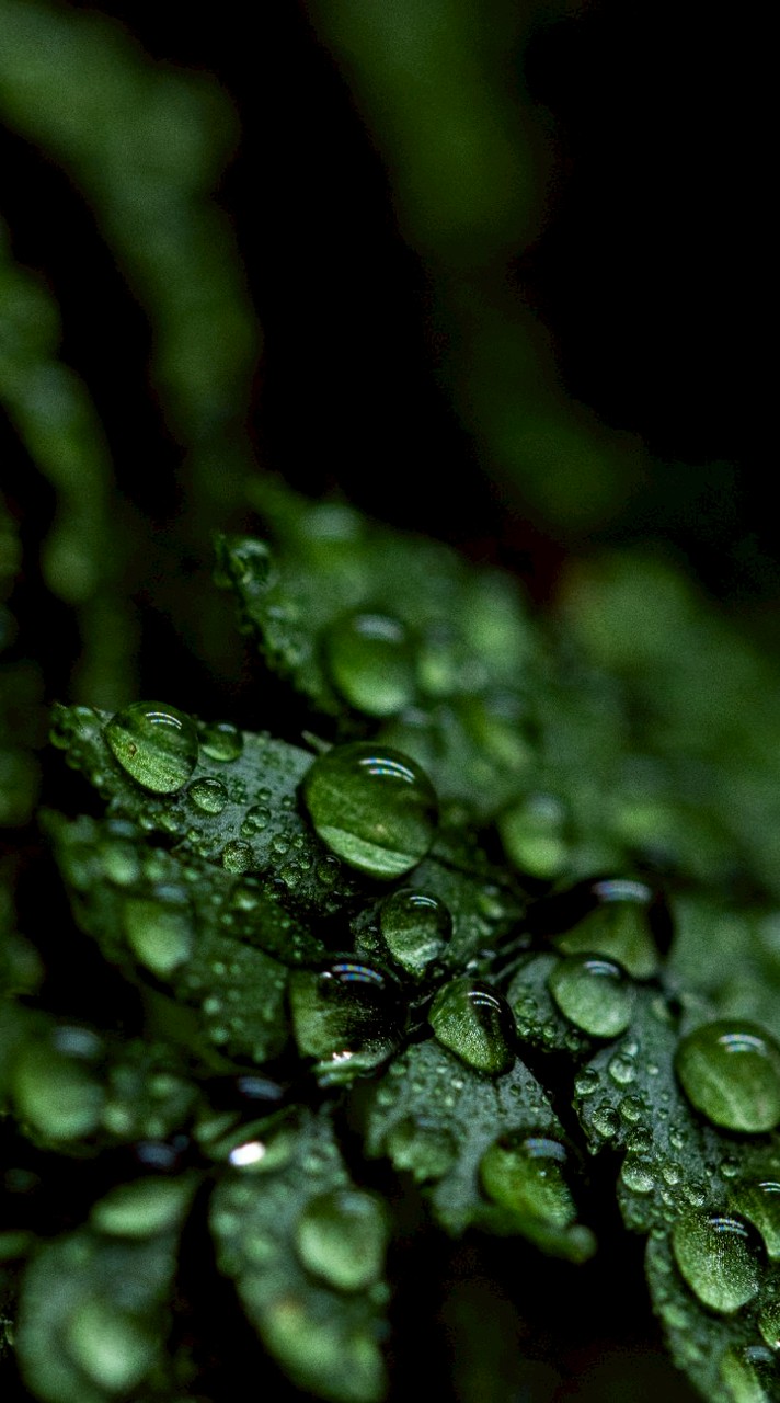 南區-國稅永續移轉上線群組