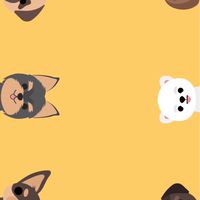 みんなのふんどし馬券CLUBチャット