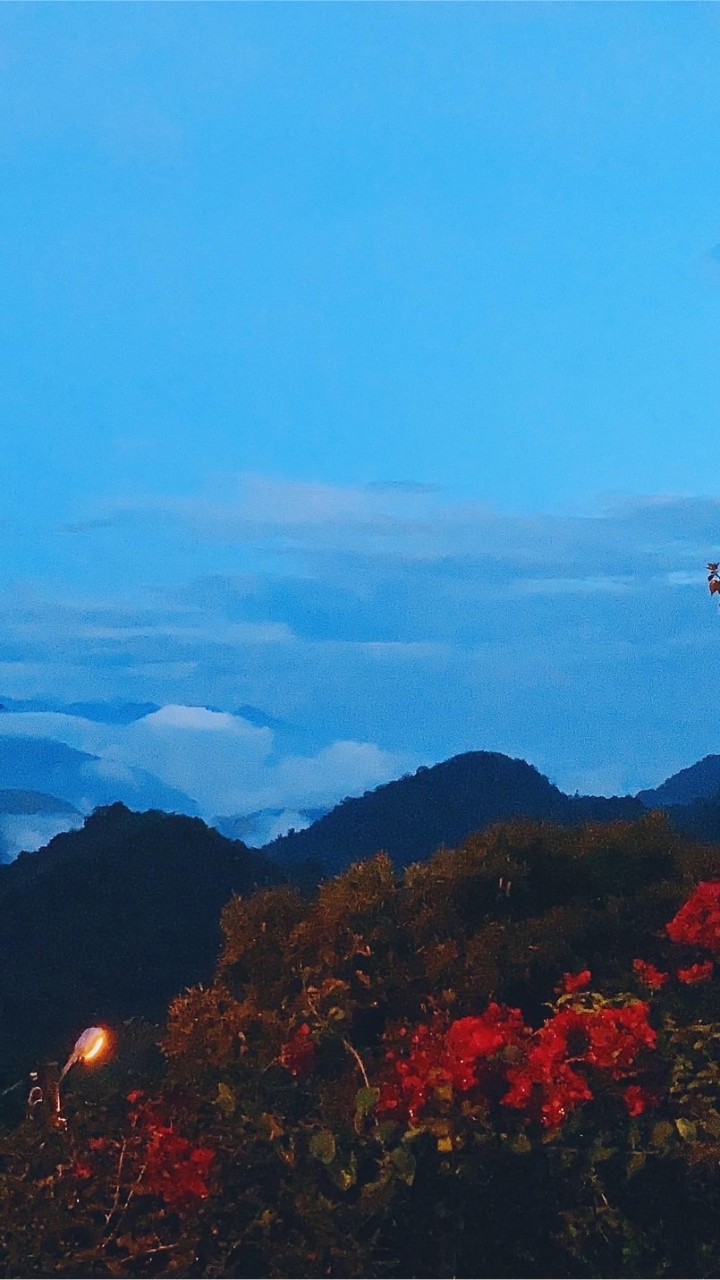 宛倫旅遊｜旅遊優惠報報✈️