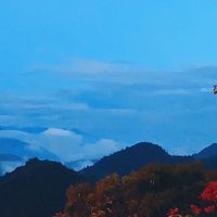 宛倫旅遊｜旅遊優惠報報✈️