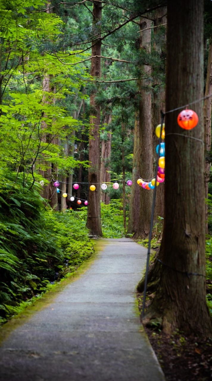 津軽と神社仏閣をめぐる癒し旅