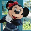 ディズニーの会