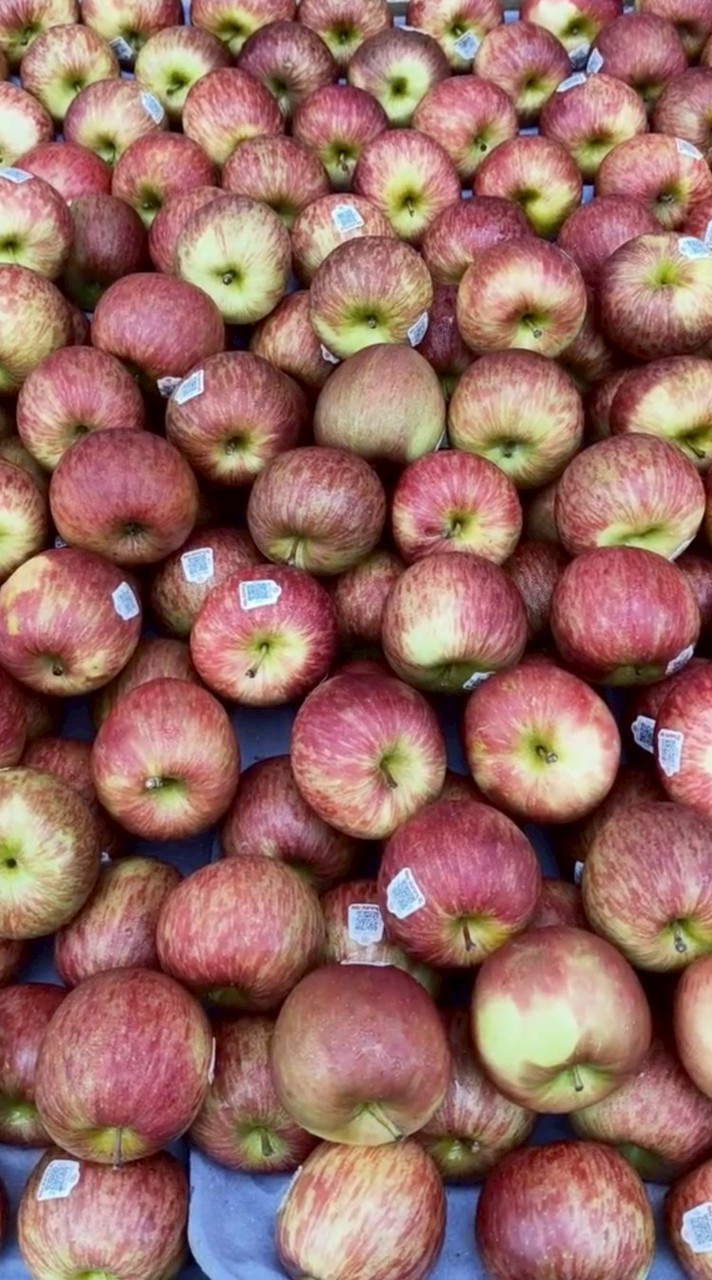 仁武登發自取點