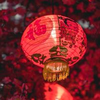 蛇年紅包來🧧