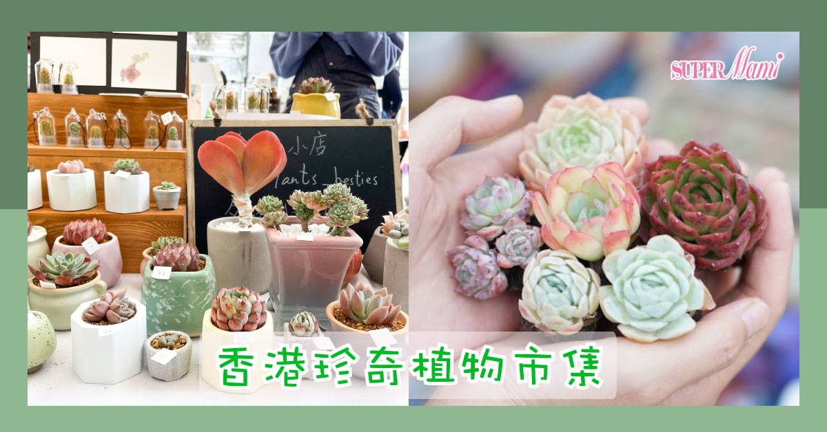 三日限定 香港珍奇植物市集 Supermami Line Today