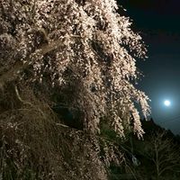 周南市青少年育成市民会議鹿野部会