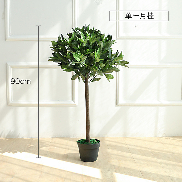 北歐創意室內裝飾花卉綠植盆栽n下單後約7-10個工作天.n大量採購者可以先買樣品再下有量的訂單