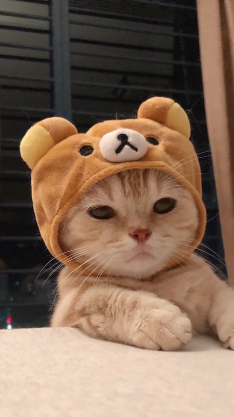 銘傳校友群