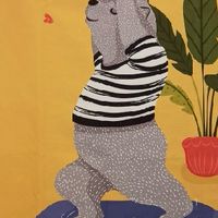 Dada 瑜伽練習室