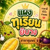แผงยิบาง สาขาชุมพร