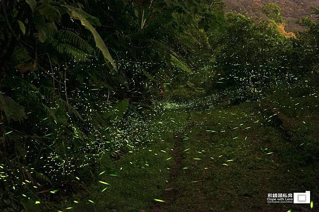 圖片來源：泰雅巴萊臉書粉專