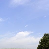 耳鳴り 難聴等で辛い方 情報交換しませんか
