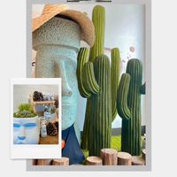 永安「沙漠中的綠洲🌵」