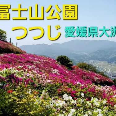 冨士山公園のundefinedに実際訪問訪問したユーザーunknownさんが新しく投稿した新着口コミの写真