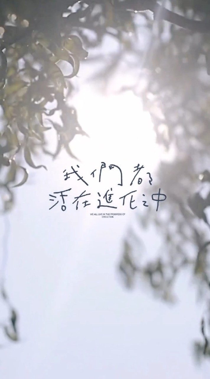 復刻五月天諾亞方舟復刻群