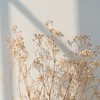 け - ぽ