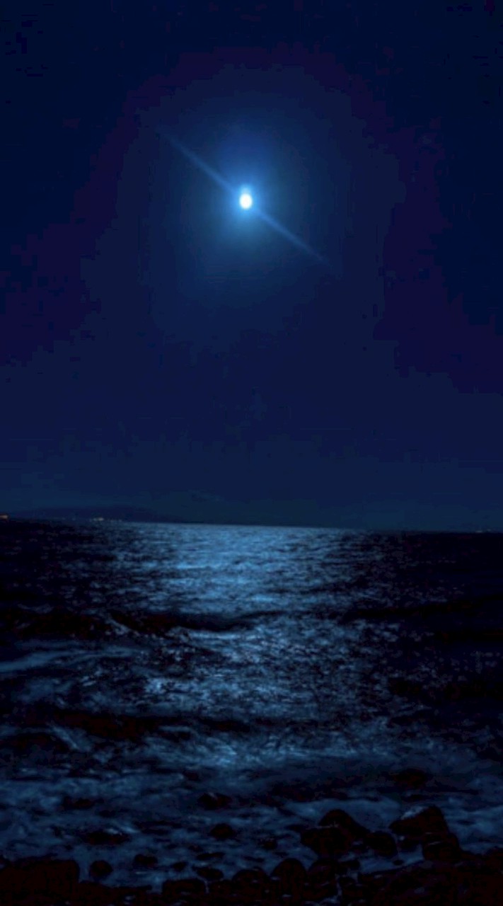 依存（♥） ＊ 旧戦争屋限定ハント