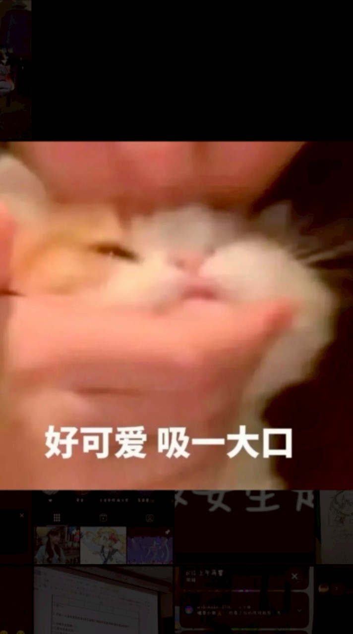 聊天收留地💕/ vc.陪玩🫶🏻