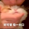 聊天收留地💕/ vc.陪玩🫶🏻