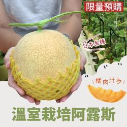 十翼饌 阿露斯-橘肉哈密瓜2入禮盒(1kg/顆)