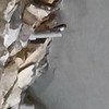 歡樂慈濟