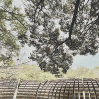 中華大學建築與都市計畫學系
