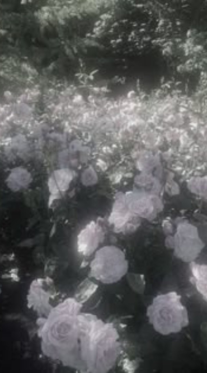 君 以 外 の 誰 を 好 き に な れ ば い い ？